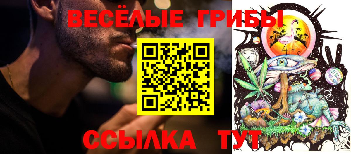 Псилоцибиновые грибы ЛСД Ковров