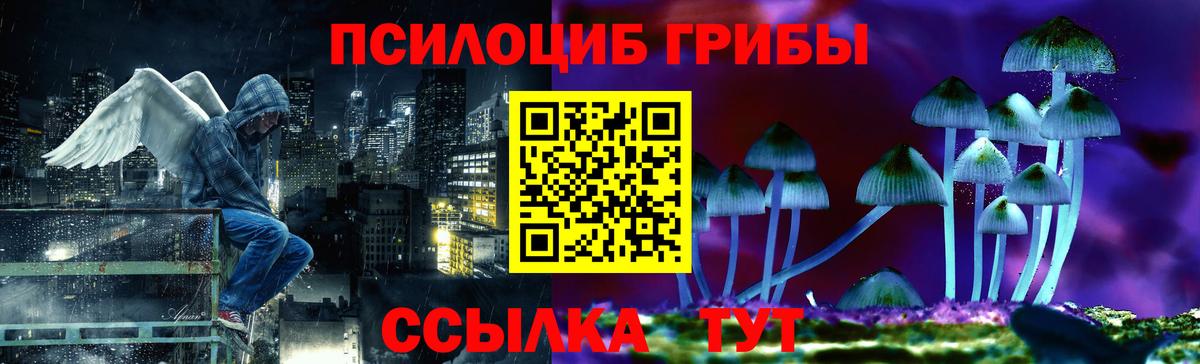 Галлюциногенные грибы Cubensis  Вход с VPN  Ковров 